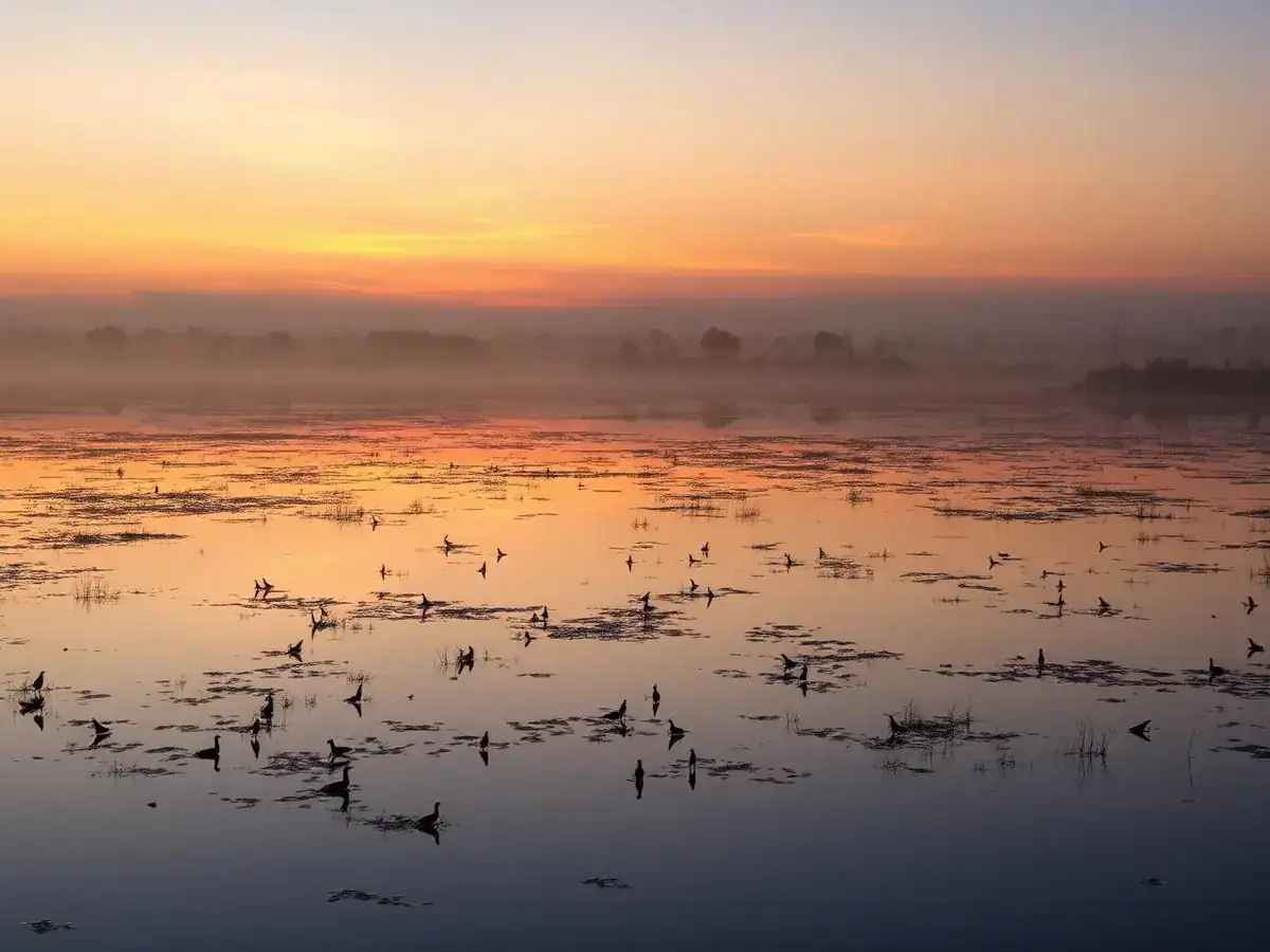 Pantanal Preservado